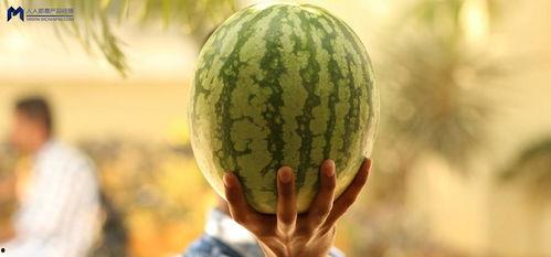 最近大瓜事件,揭秘明星隐私风波背后的真相